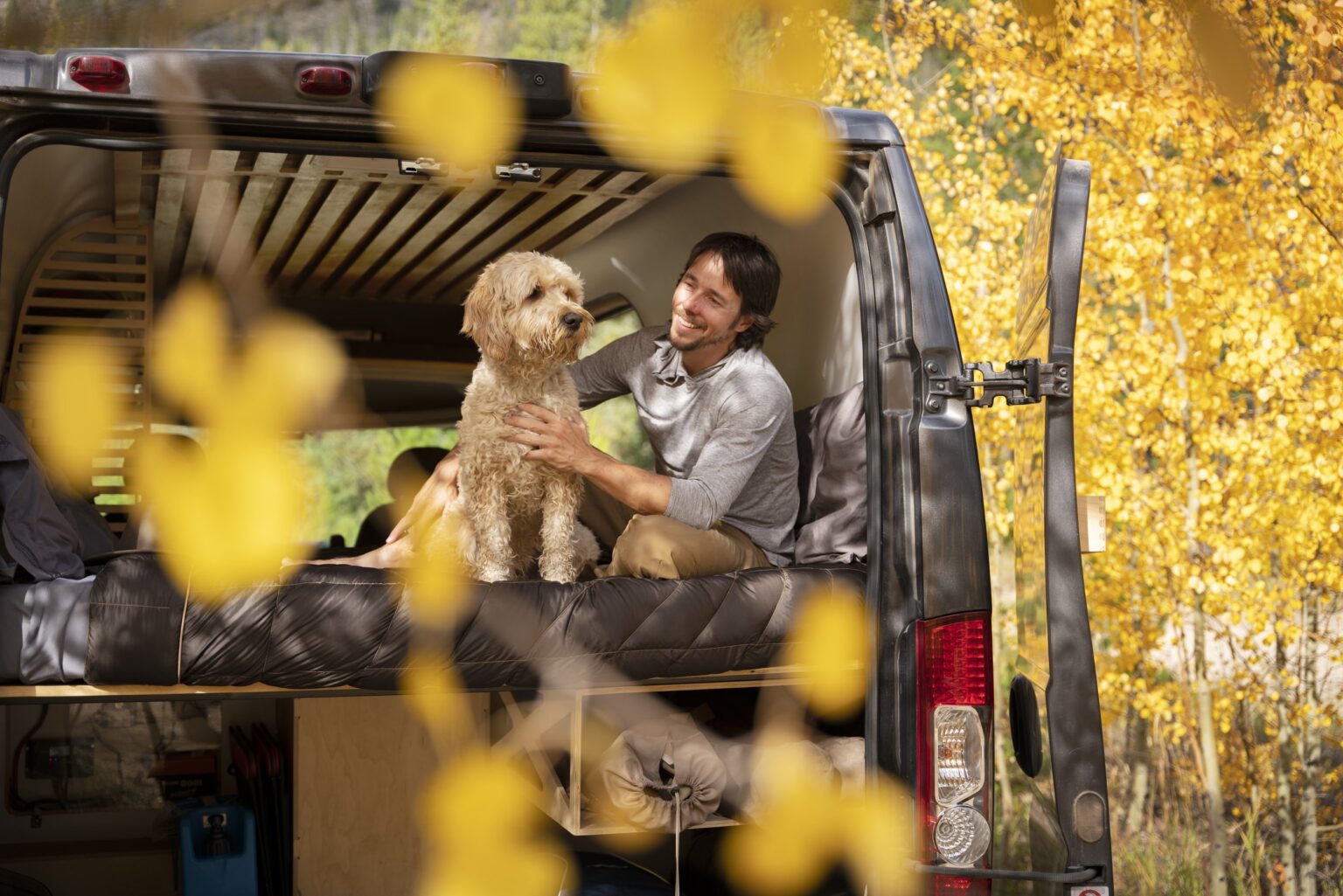 Top 5 Tips for RV Adventuring With Your Dog | Native Campervans